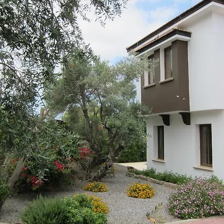 Villa Mulberry *